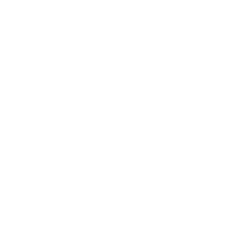 Physical Intelligence