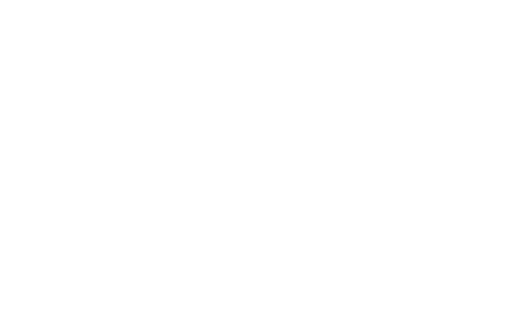 RoboStrategy